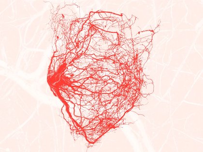 Untitled design